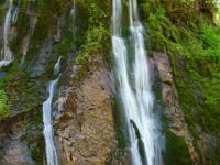 Rauschende Wasserfallarme